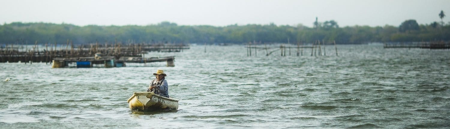 Image of man in boat - Boca de Camichín Riviera Nayarit Mexico