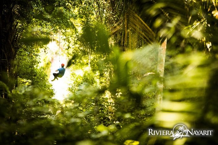 Zip lining through the canopy in Riviera Nayarit Mexico