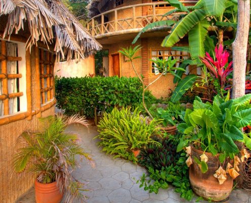 Playa Escondida Huts with lush vegetation in Riviera Nayarit