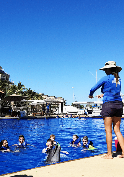 Group swimming with dolphins in Nayarit