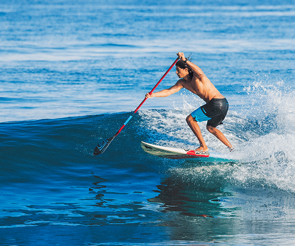 Paddle boarder riding the crest of a wave