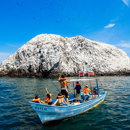 People in a boat watching birds over an island in Riviera Nayarit