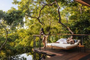 One and Only - Ocean Tree House Terrace Lounger